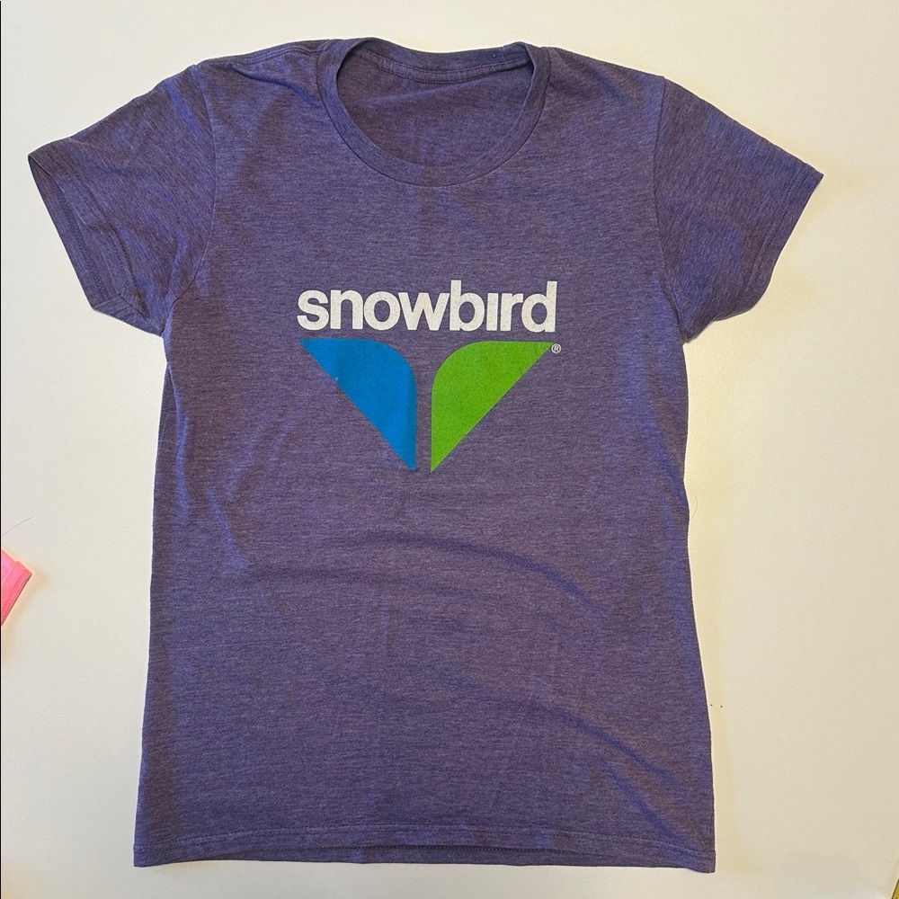 2/$10 Short Sleeve Tee in Purple with Snowbird Print